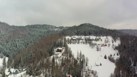 snowy forest and mountains captured from above
