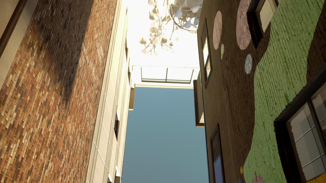 Colorful laneway art adornes brick building walls