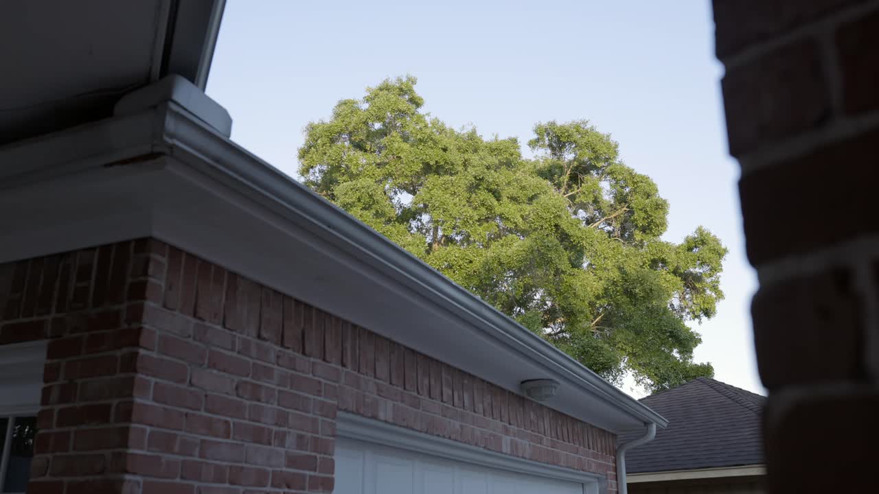 A shot of trees blowing in the wind, behind a house, on a sunny day