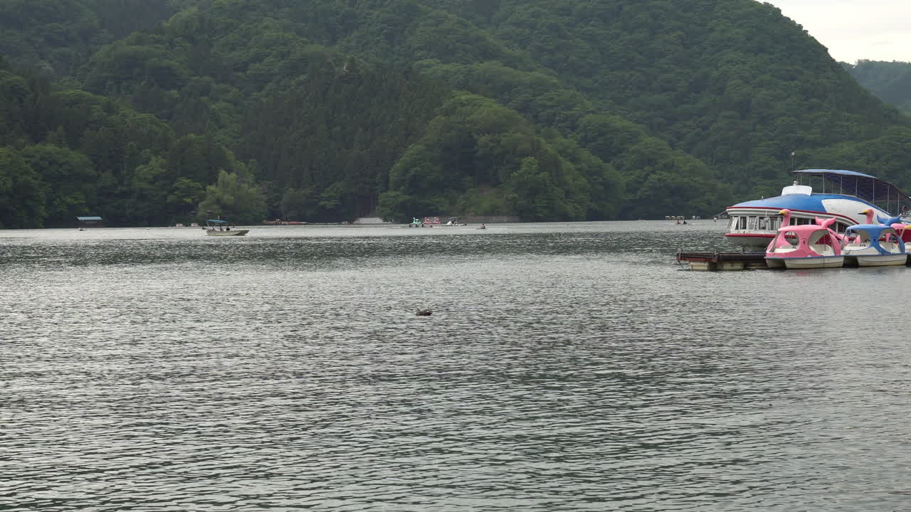You can experience boat riding in Lake Sagamiko. You can also see boat racing. Lake Sagamiko is located in Sagamihara city, Kanagawa, Japan
