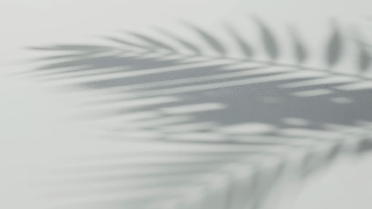 Soft Palm Leaf Shadows Drifting Across Pale Wall With Subtle Texture And Calm Sunlight Ambience