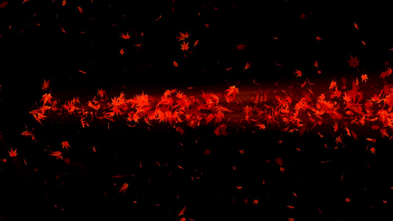 vórtice de colorido arce y hojas. espiral partícula brillante de hojas de otoño. hoja de baile. colorida naturaleza túnel bucle de animación.