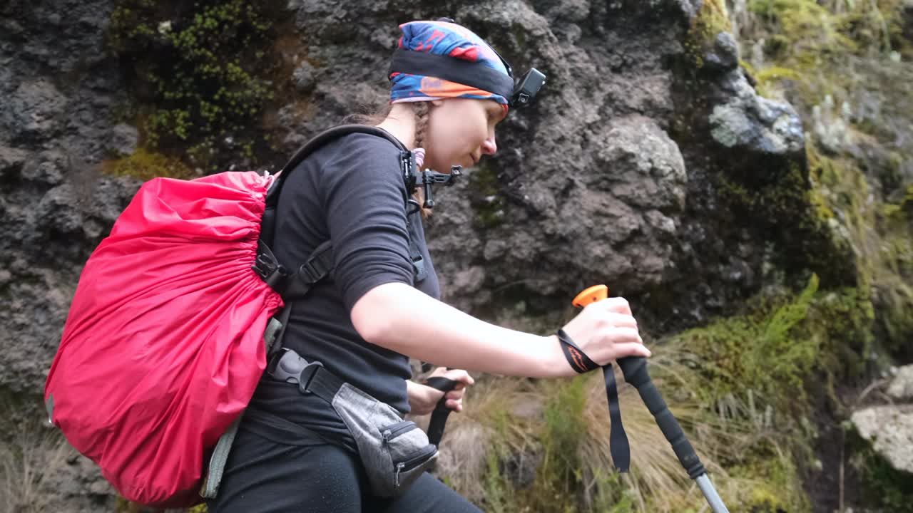 los excursionistas suben al campamento de shira con un guía, un grupo de portadores llevan equipos pesados
