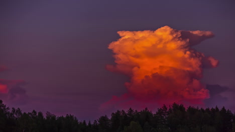 nubes formando diferentes formas en timelapse durante la puesta de sol sobre el bosque de pinos verdes