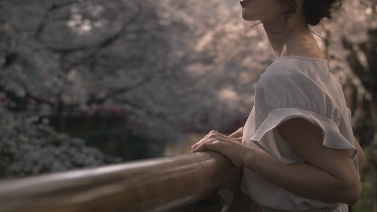 Pretty model by beautiful cherry blossom river.