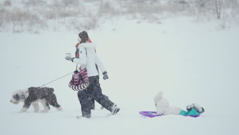 a family with their dog walking through a snowy landscape