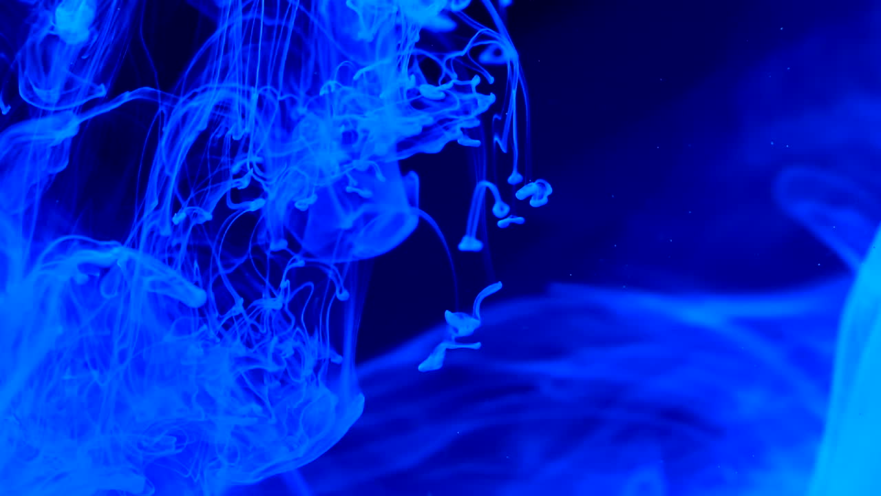 Abstract Blue Ink Swirl