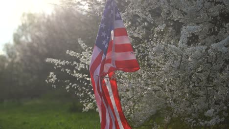 Banderas-Americanas-En-Flores-El-4-De-Julio