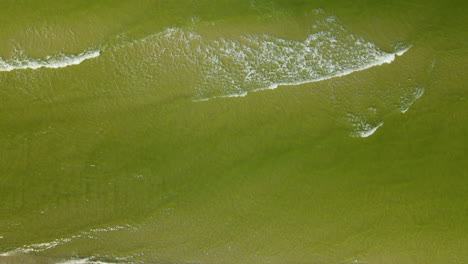 flying over green water of baltic sea daytime in autumn, foamy sea waves, simplistic background, template, aerial shot