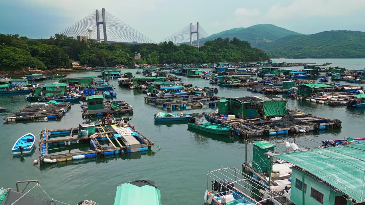 aérea sobre los barcos de pesca y las balsas de las granjas de peces en la isla de ma wan, hong kong, china