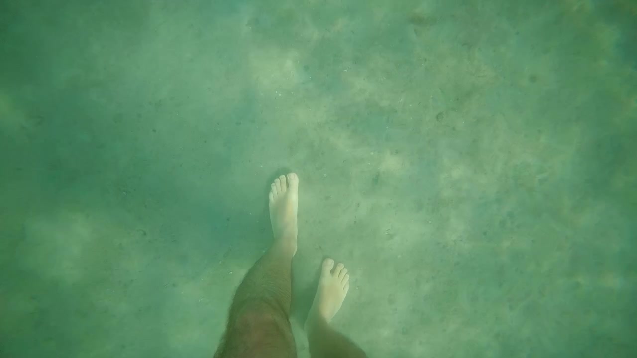 Person's legs and arm seen from a first-person perspective, swimming in clear green ocean water over a sandy floor