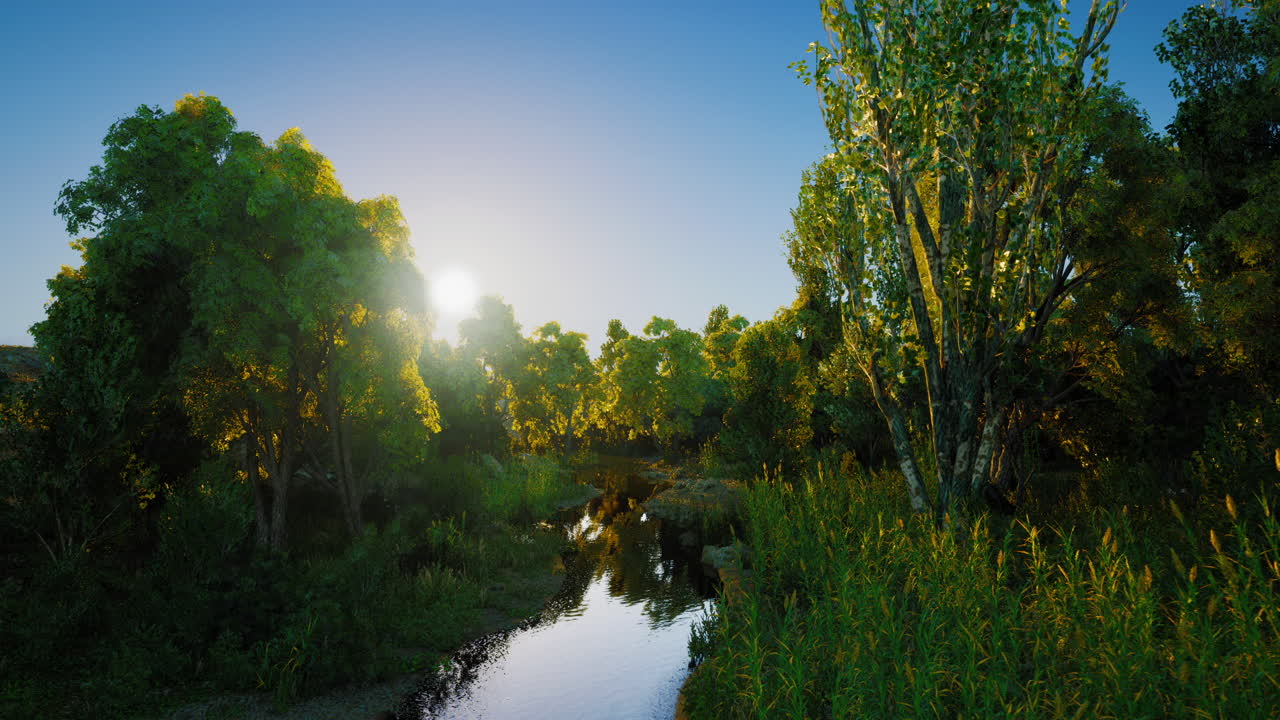 Sunrise over a tranquil stream surrounded by lush greenery in nature