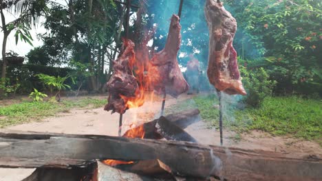 traditional venezuelan asado: carne en vara cooking in los llanos