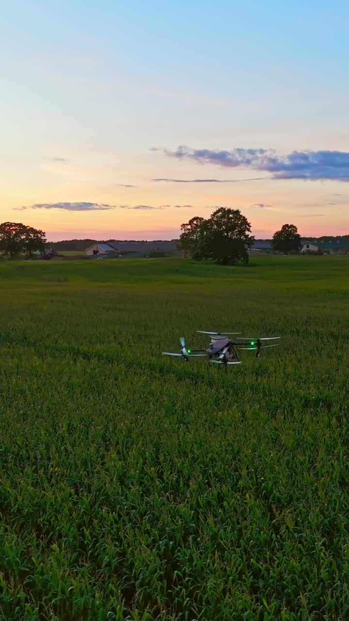 Fertilizer drone crosses over top of agriculture field at dusk showing crop textures, vertical aerial