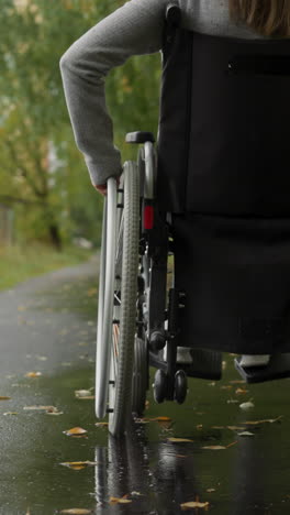 woman with spinal cord injury turns large wheels of wheelchair moving along asphalt road near old rickety mesh fence. walk in sanatorium park backside view