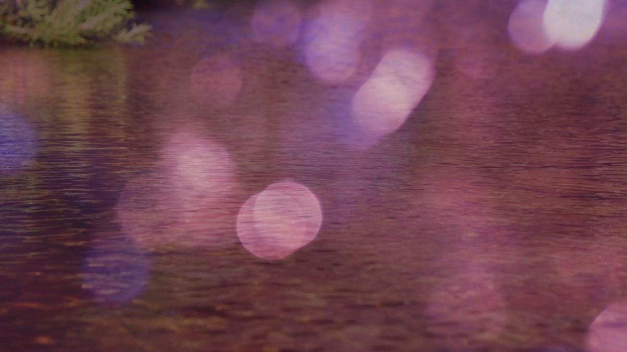 Luz púrpura cambiando, bokeh apareciendo, flotando hacia arriba y creciendo, oscureciendo la orilla y mostrando las ondas del lago