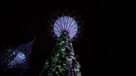 supertree garden at night in gardens by the bay, singapore - tilt up