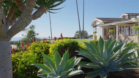 View-from-a-house-of-the-ocean,-yard,-and-colorful-landscaping-in-Southern-California