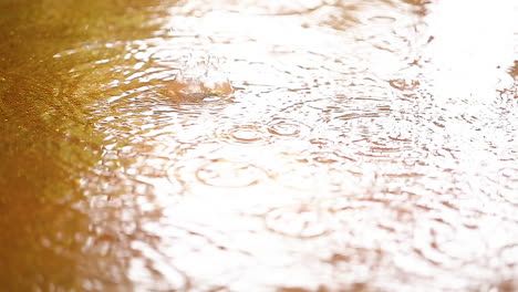 Gotas-De-Lluvia-Cayendo-Lentamente-En-Un-Charco-De-Agua,-Cámara-Lenta