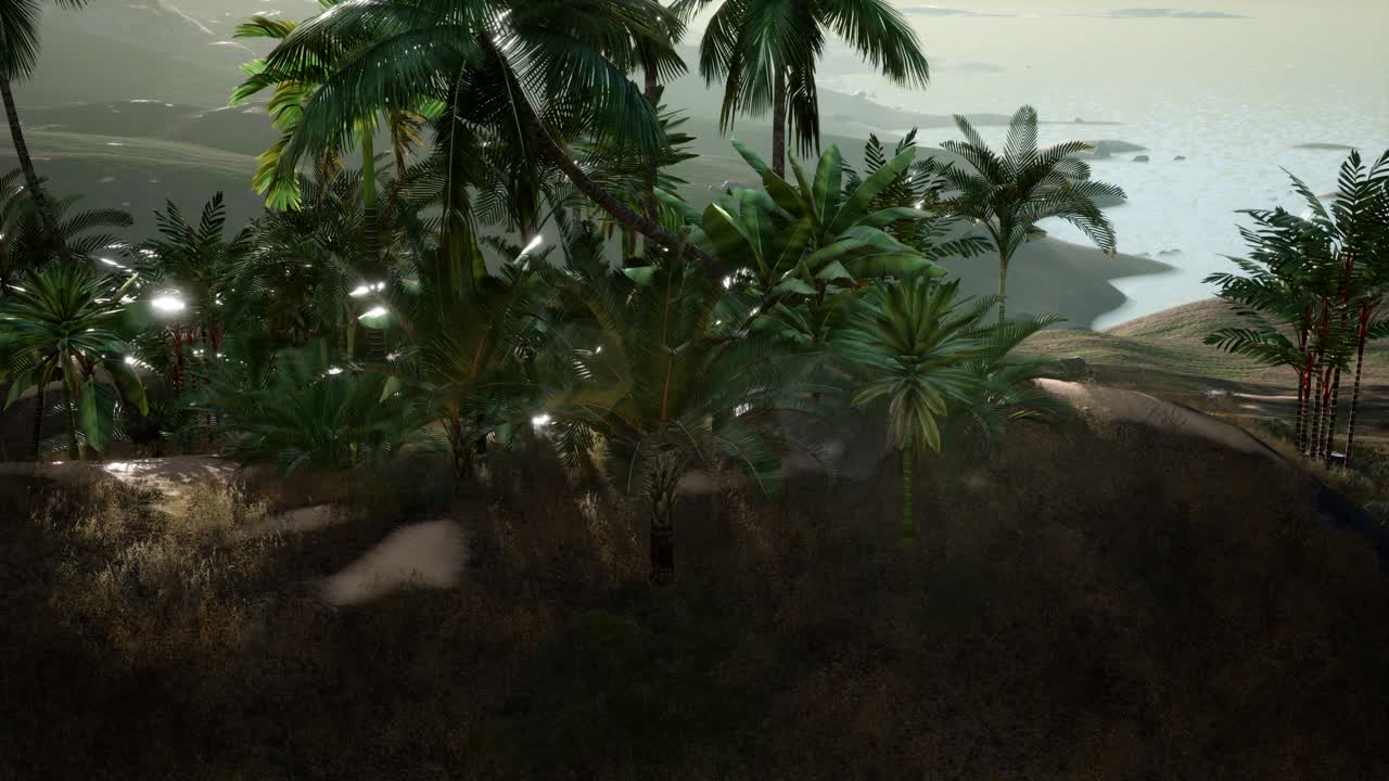 바다 근처 에 있는 모래 언덕 에 있는 손바닥 의 공중 사진