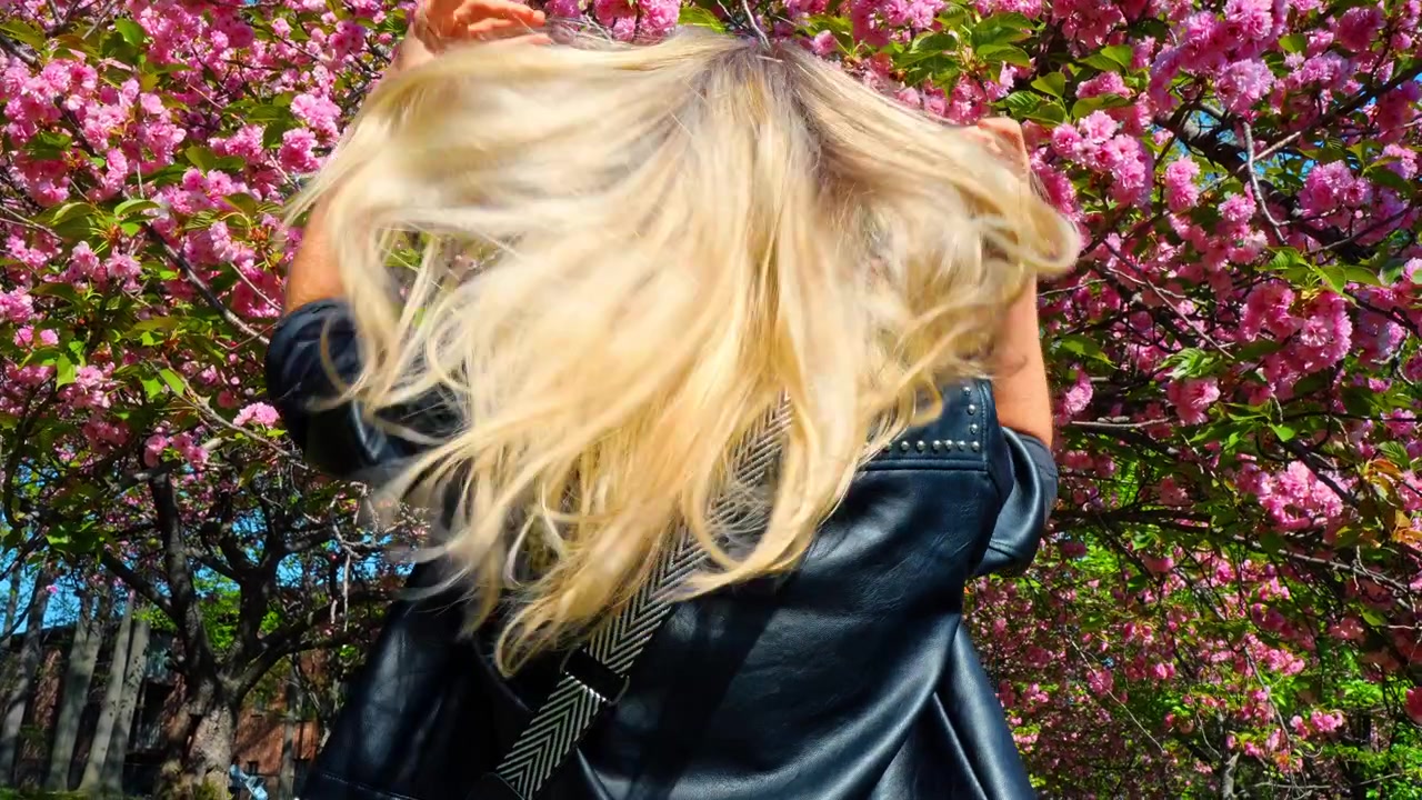 Frau hält ihr blondes Haar vor floralem Hintergrund hoch. Rückansicht einer Frau, die ihr langes Haar mit beiden Händen unter blühenden rosa Kirschbäumen im Frühling hält.