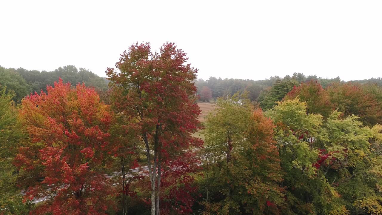 가을에 강을 따라 단풍 위로 솟아올라 농지와 시골길을 드러냅니다.