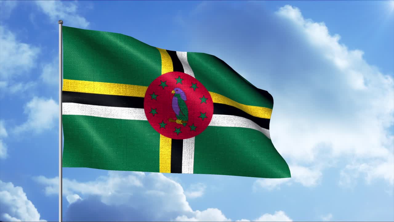 도미니카 발이 바람에 흔들리고 있다.