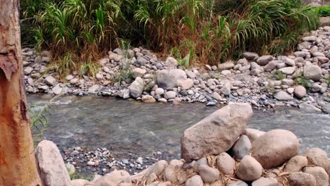 Hermoso-Tiro-Paralelo-Al-Lado-Del-Río,-Orilla-De-Guijarros