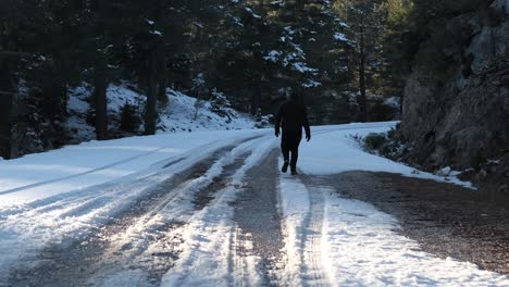 Corriendo-Camino-Del-Bosque-Cubierto-De-Nieve