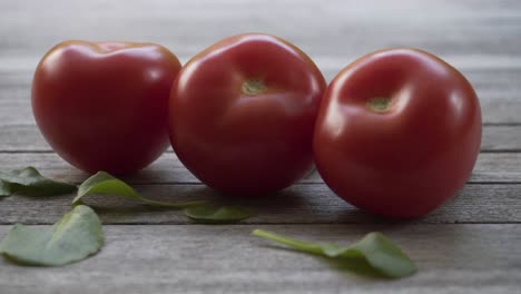 tomate orgánico fresco rojo, video uhd de 4k 2160p 25fps - panorámica lenta sobre un fondo de comida vegetal de tomate mojado 4k 3840x2160 material de archivo ultrahd