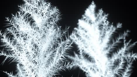 abstract white trees on black background