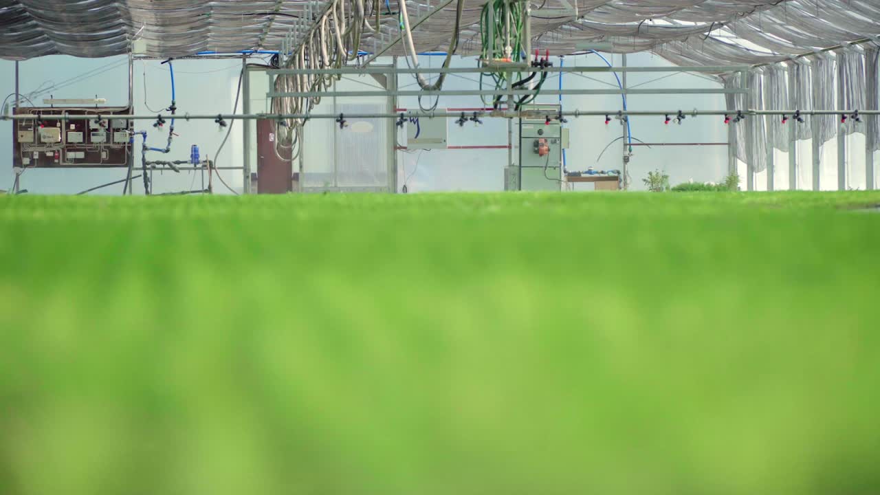 el equipo de riego está listo para trabajar en invernadero con camas plantadas