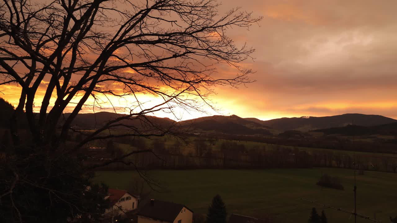 독일 프라이부르크의 드레이사탈을 내려다보는 나무의 실루 뒤에 불타는 해가 지는 시간