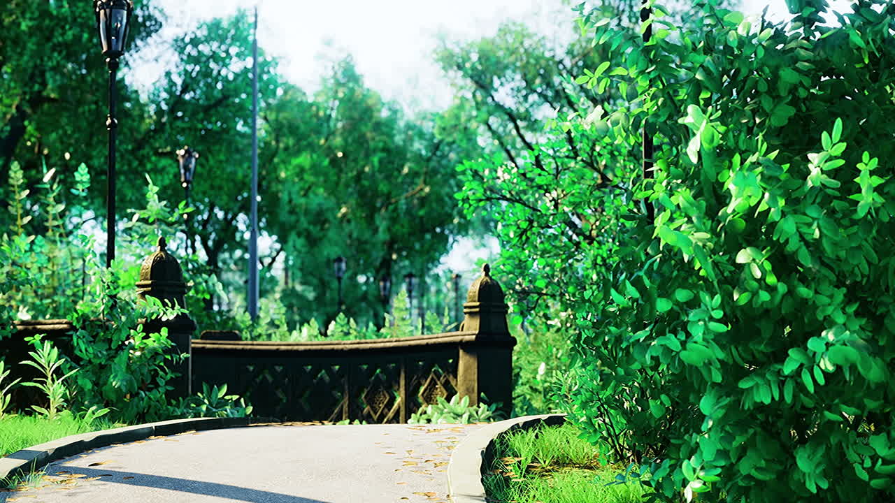 Serene pathway through lush greenery at a sunlit park in springtime bliss