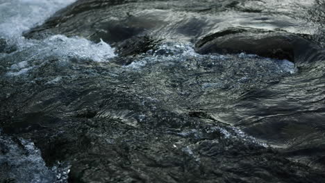 wild stream of clear water. abundant mountain river flowing in carpathians.