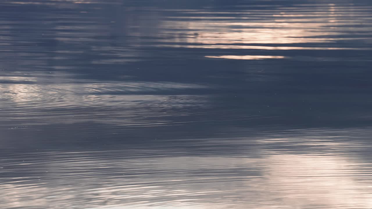 The warm sun is reflected on the rippled surface of the water
