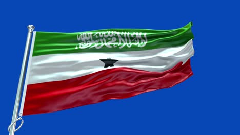 4k highly detailed flag of somoliland - somoliland flag high detail - national flag somoliland wave pattern loopable elements