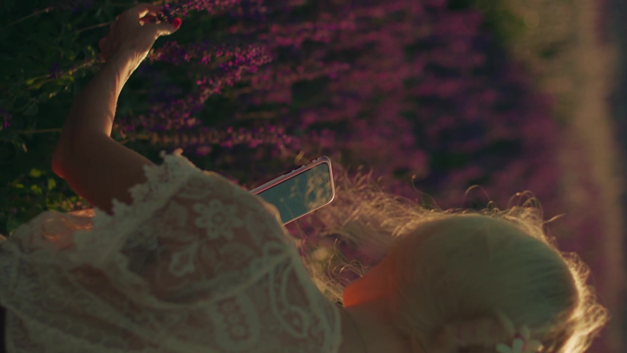Giovane donna che usa lo smartphone in un campo di lavanda in fiore al tramonto