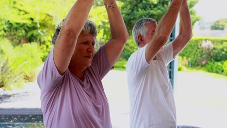 pareja de ancianos haciendo meditación sobre el ejercicio en la pelota de ejercicio 4k