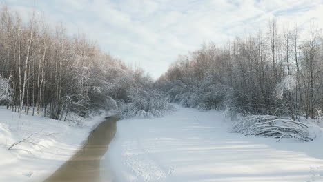 Winter-wonderland-woodland-landscape-of-Scandinavia,-aerial-fly-forward-view