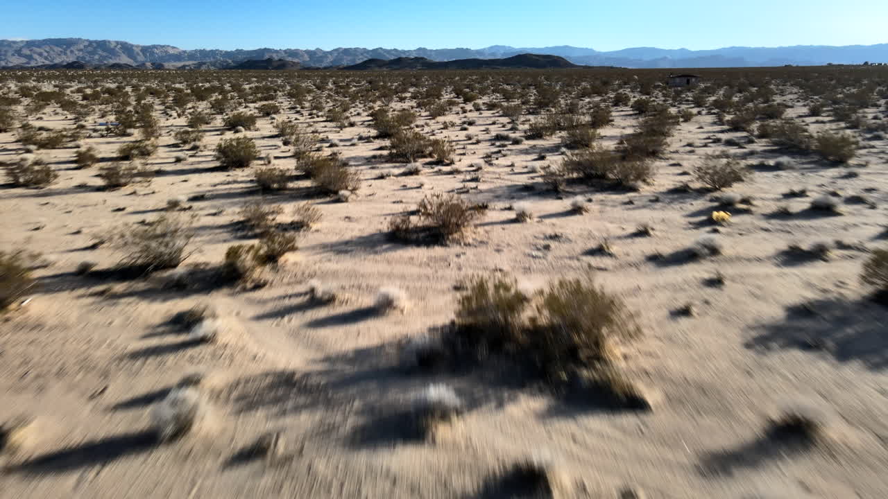 남부 캘리포니아 의 조슈아 트리 국립 공원 의 숲 사막 위 를 날아다니다