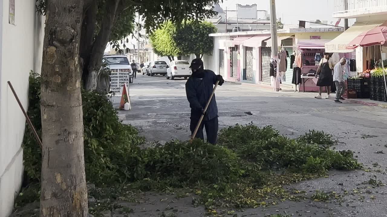 A worker cleans fallen branches on a quiet street in a small urban neighborhood