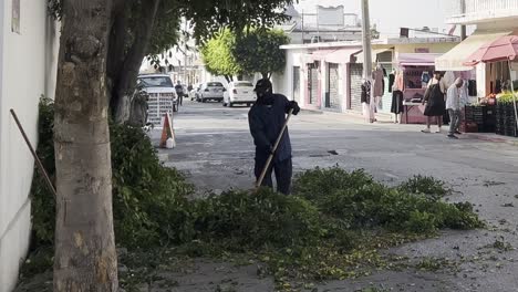 a worker cleans fallen branches on a quiet street in a small urban neighborhood
