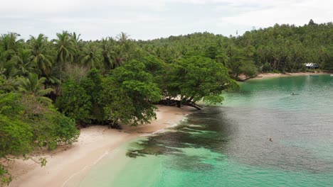playa revelar mentawai indonesia tropicales