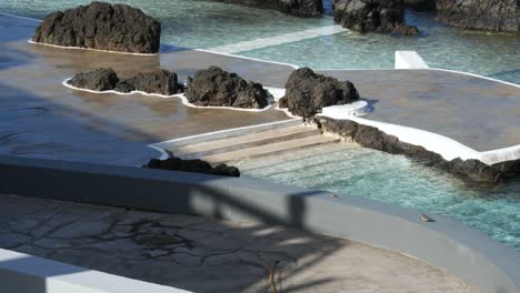 natural pool porto moniz, madeira island