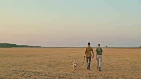 couple walking dog in a field at sunset