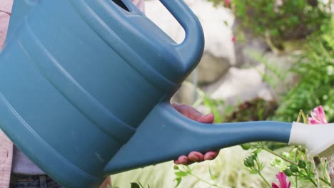 Hands-of-biracial-woman-gardening,-watering-plants-with-watering-can