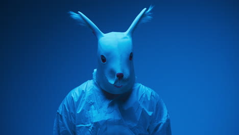 Person in a Rabbit Mask Costume