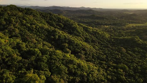 incredibly thick jungle of costa rica's coastal regions captured from high above