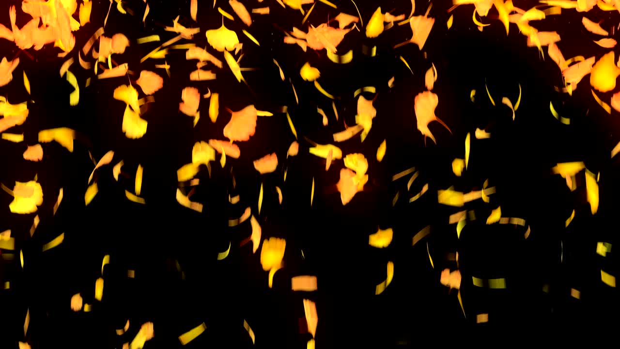 검은 바탕에 떨어지는 가을 잎, 고 잎, 루프 글리터 애니메이션